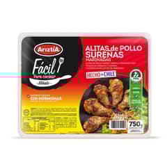 ARIZTIA - Alitas de Pollo Sureña