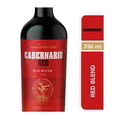 CABERNARIO - Vino Tinto Red Blend 13.5° 750 cc